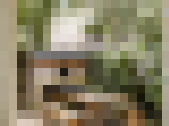 Image 25