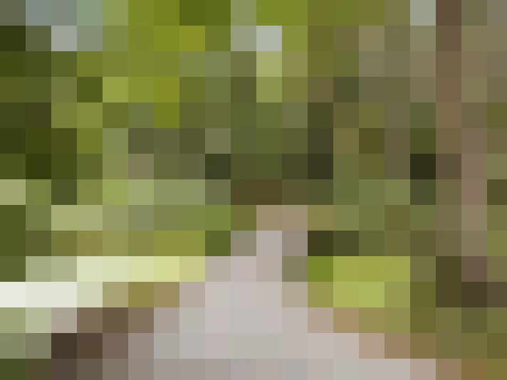 Image 26