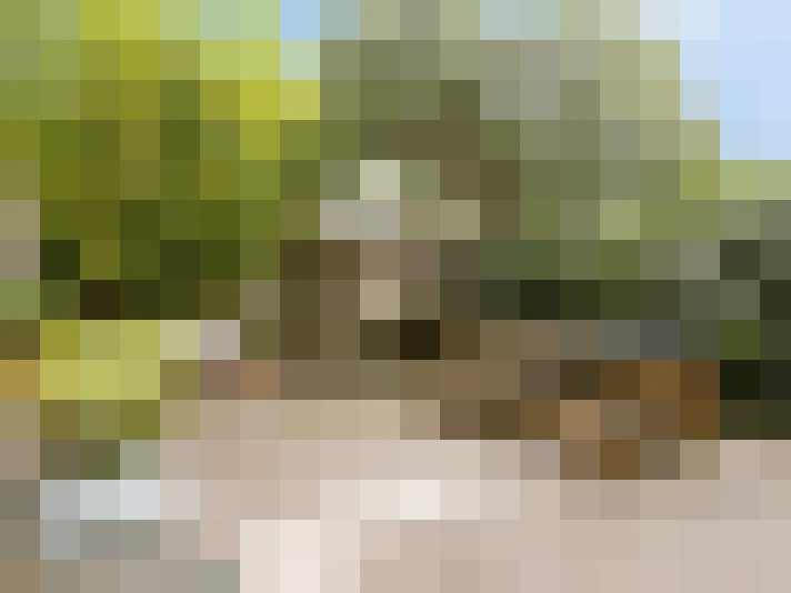 Image 23