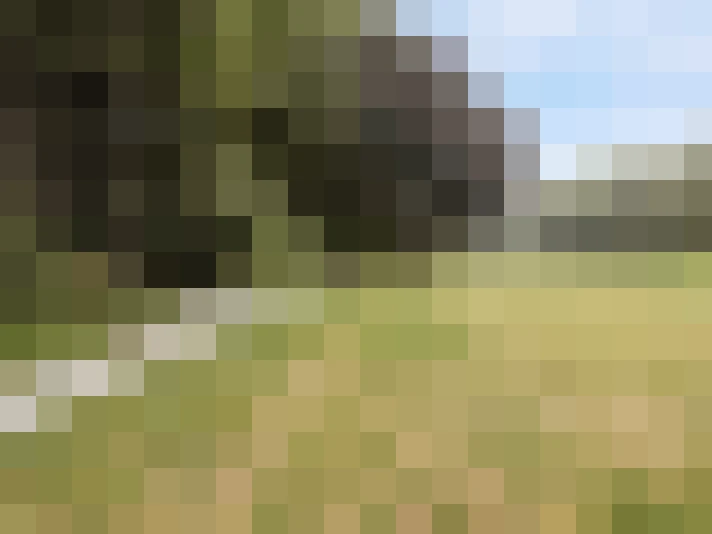 Image 27