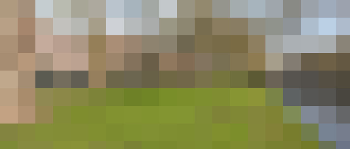 Image 16