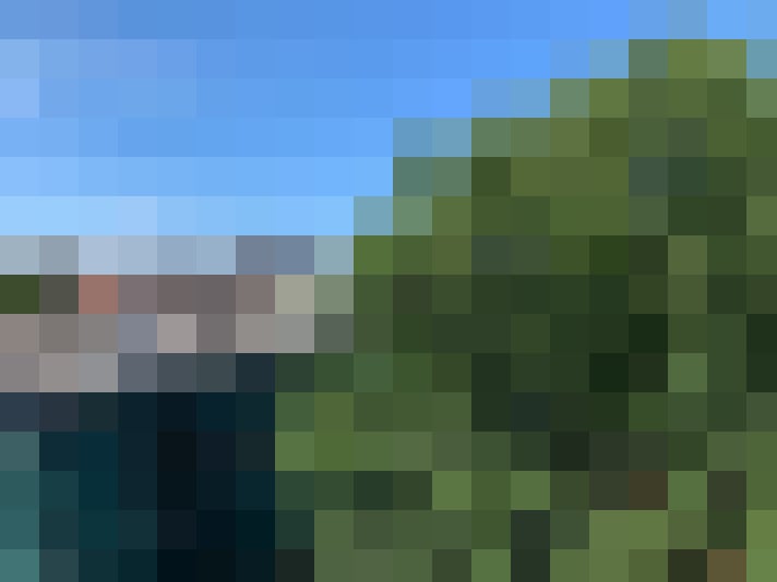 Image 20