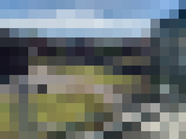 Image 22