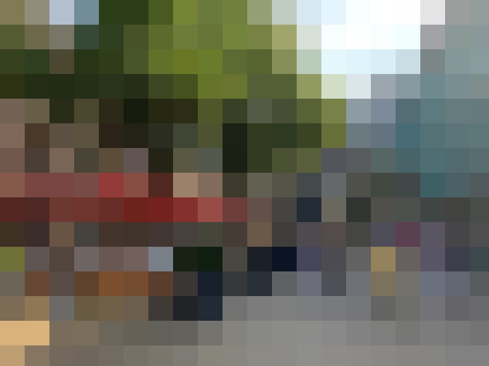 Image 29