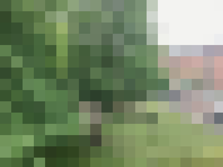 Image 38