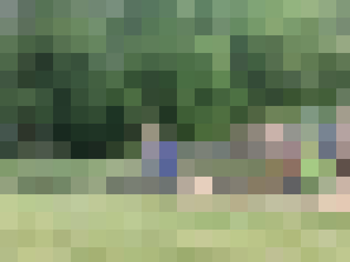 Image 37