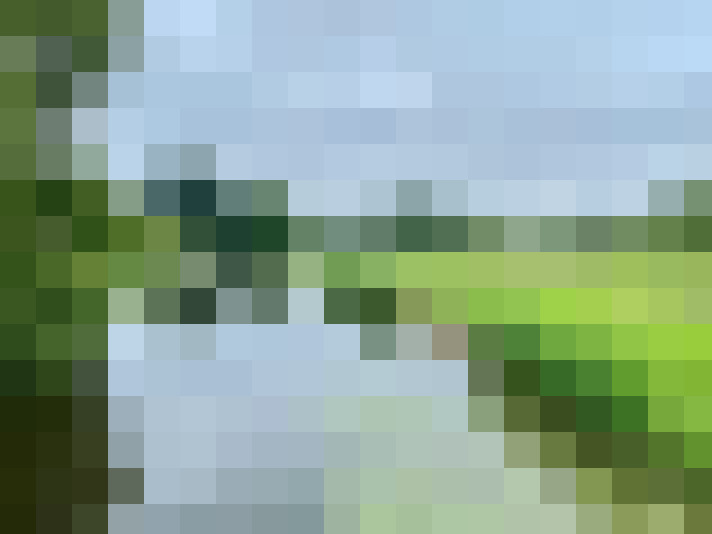 Image 39