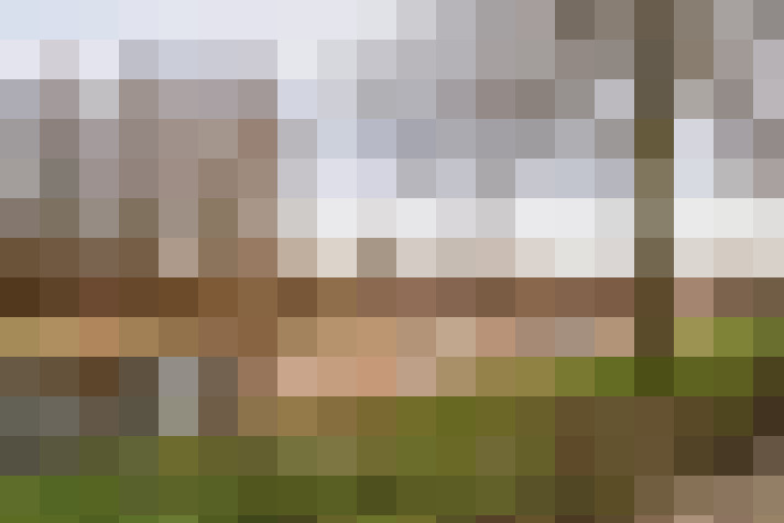 Image 41