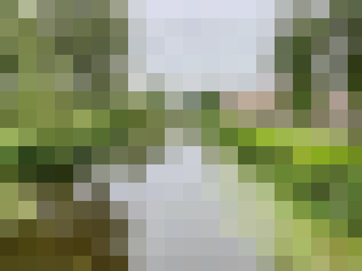Image 40