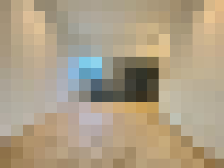 Image 14