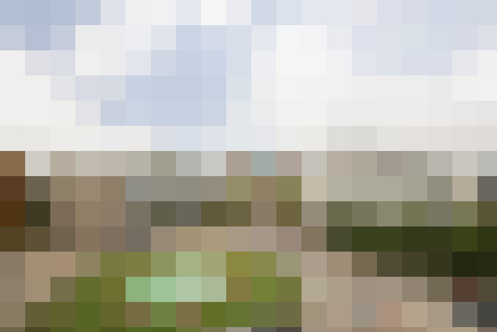 Image 25