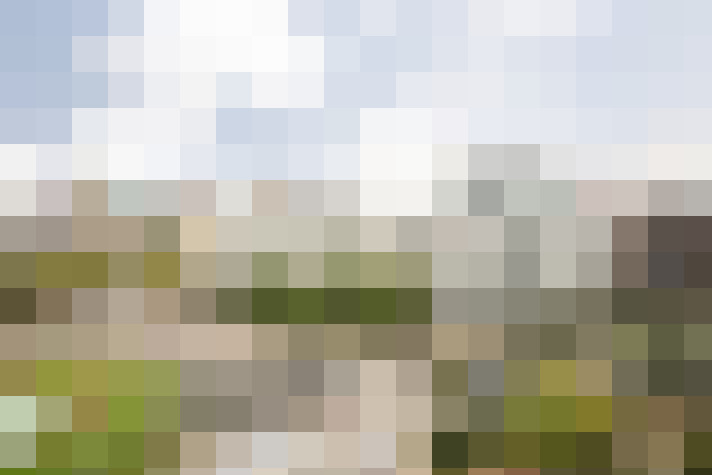 Image 23