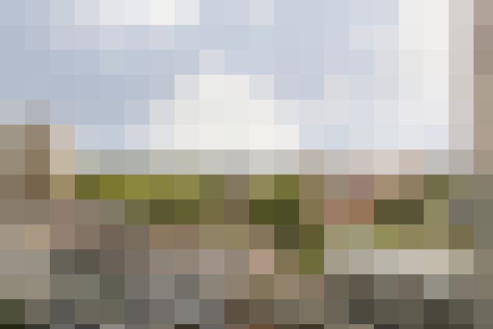 Image 26