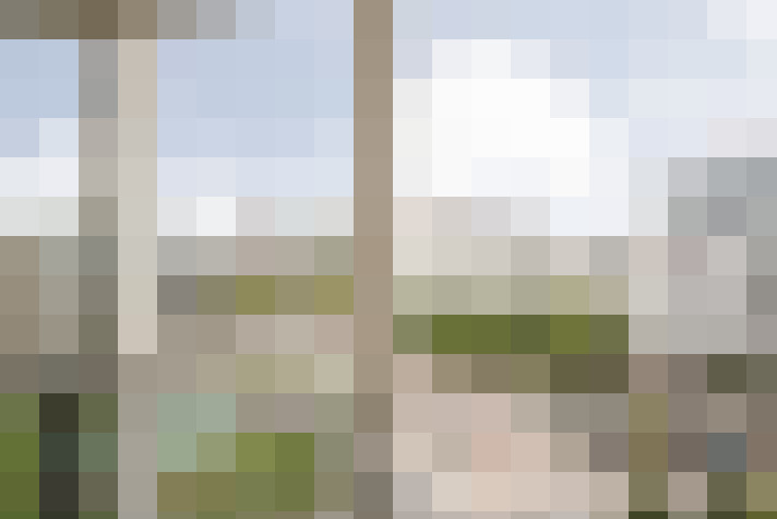 Image 20