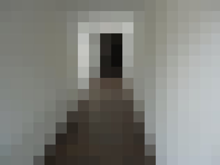 Image 20