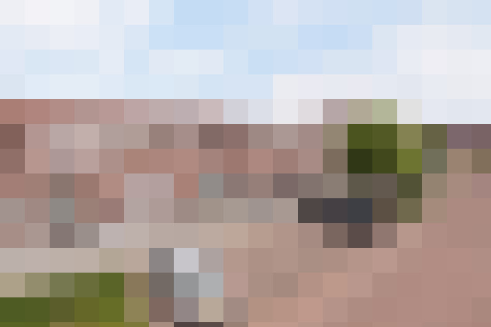Image 20