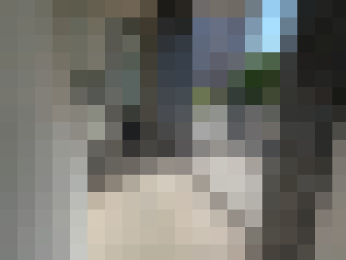 Image 20
