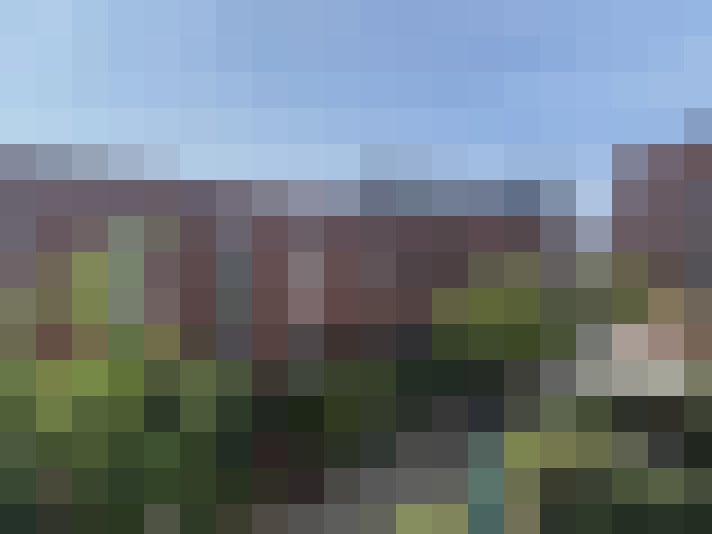 Image 37