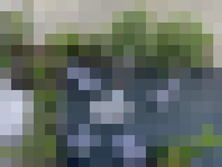 Image 33