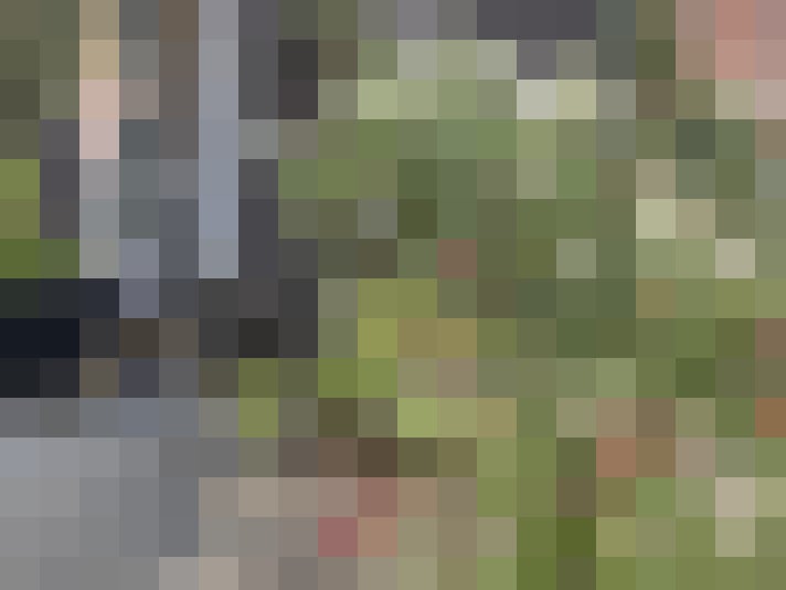 Image 38