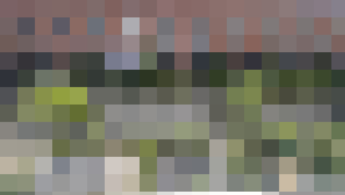 Image 75