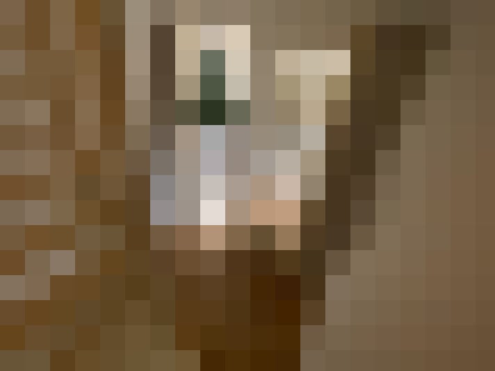 Image 20