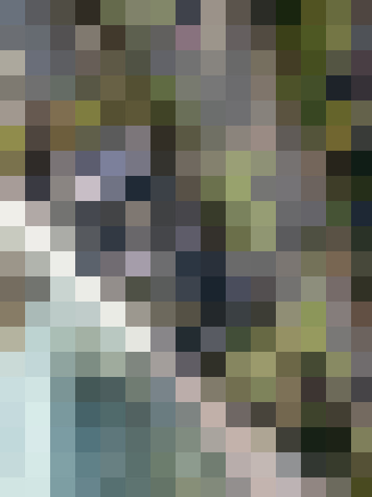 Image 77