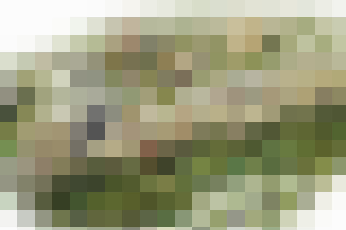 Image 36
