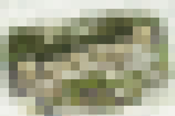 Image 28