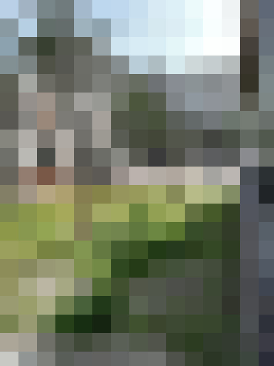 Image 35