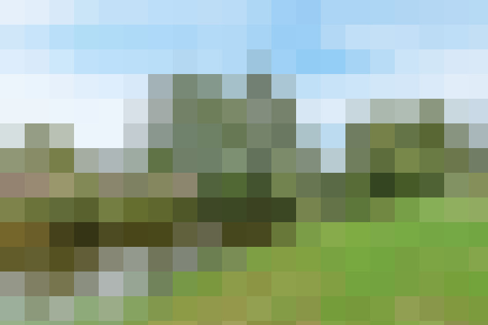 Image 20