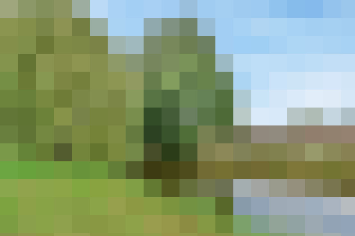 Image 22