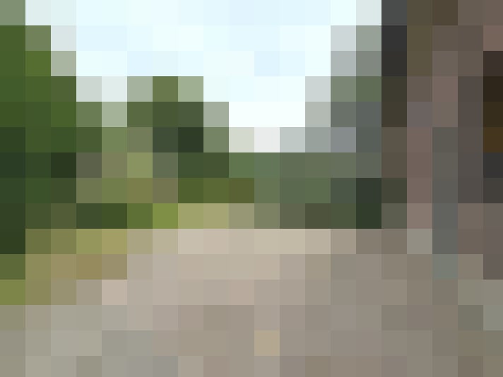 Image 13