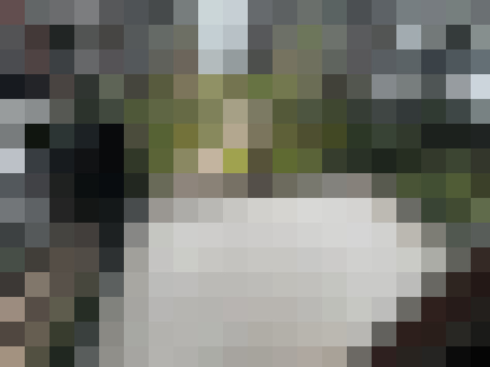 Image 18