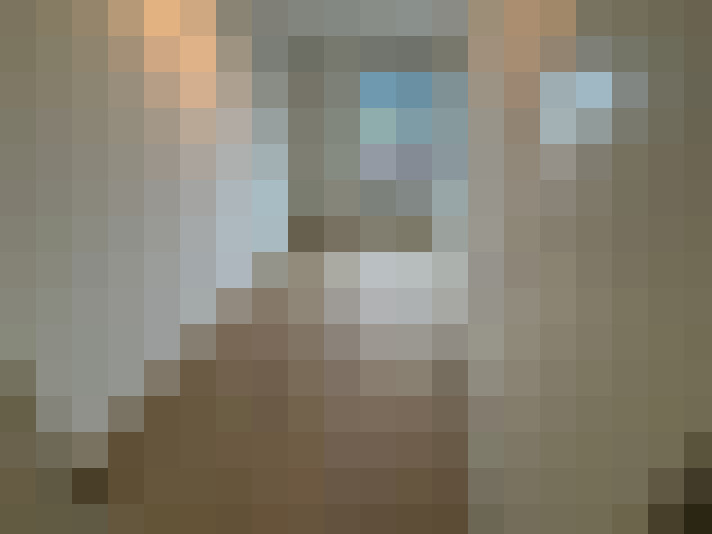 Image 16