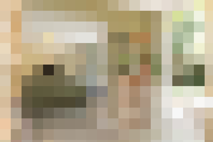 Image 15