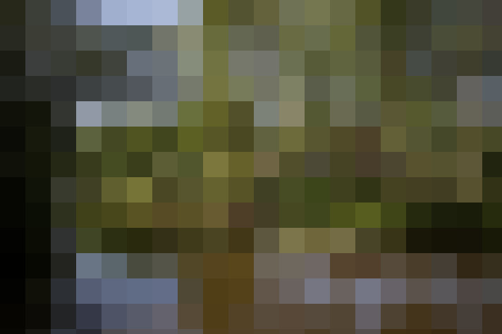 Image 52