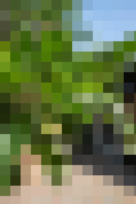 Image 22
