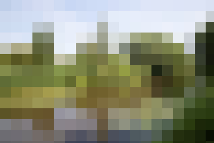 Image 51