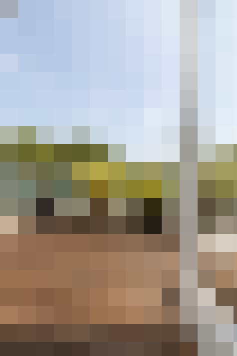 Image 45