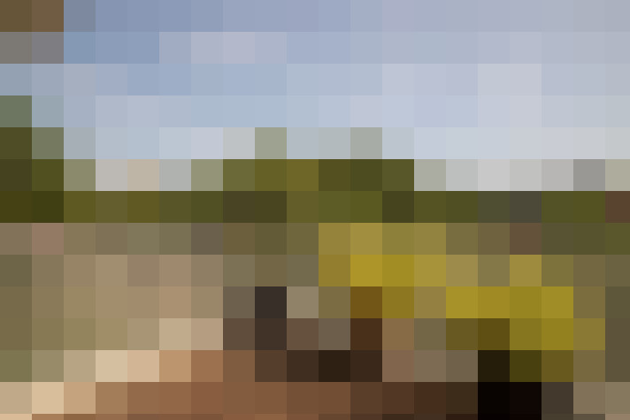 Image 47
