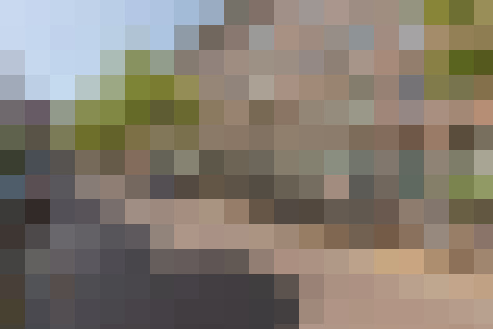 Image 33