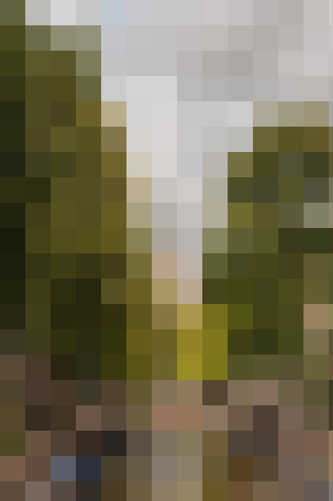 Image 29