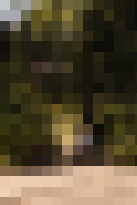 Image 29