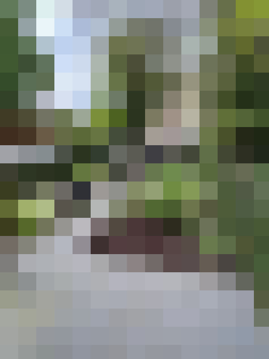 Image 29
