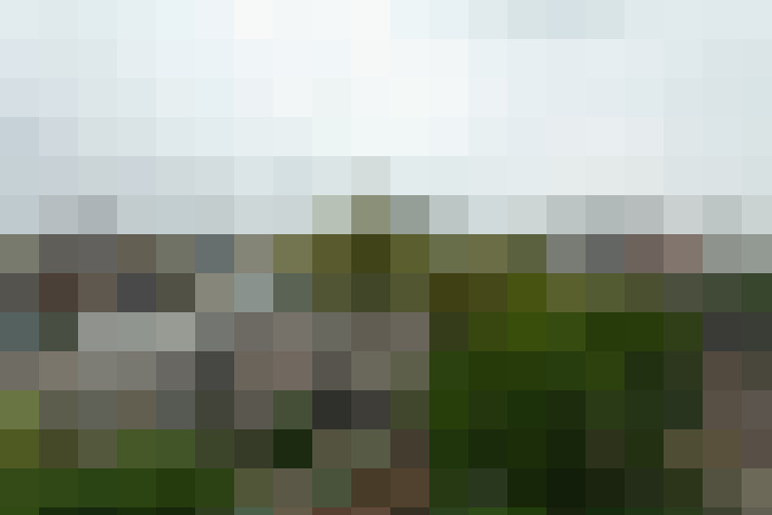 Image 24