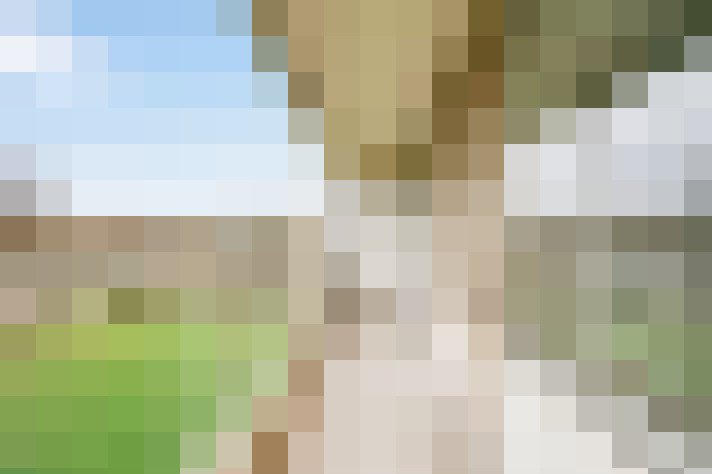 Image 18