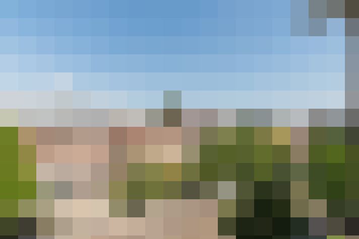 Image 31