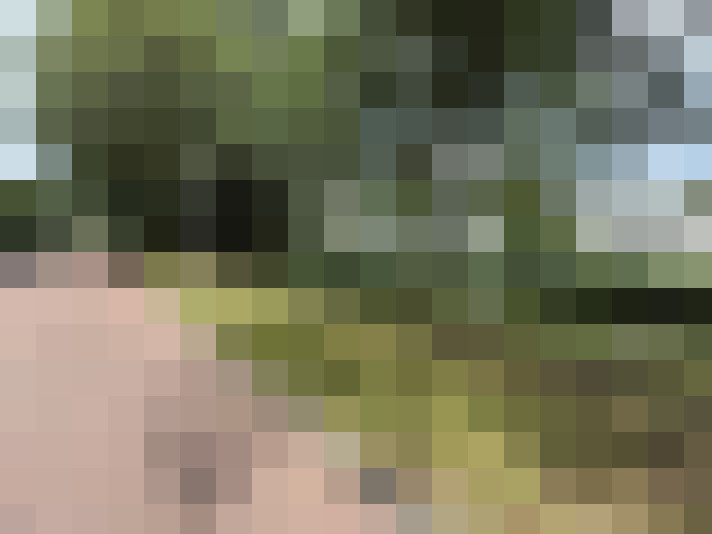Image 25