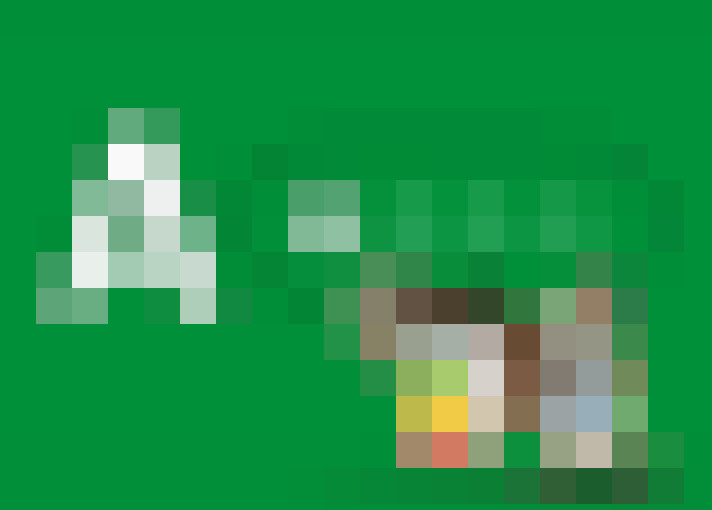 Image 47